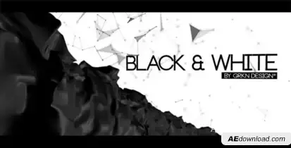 Black & White - Cinematic Titles Video Displays template preview