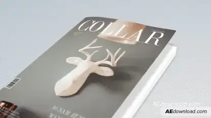 Book and Magazine Promo Video Displays template preview