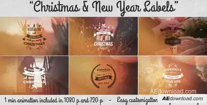 Christmas & New Year Labels Video Displays template preview