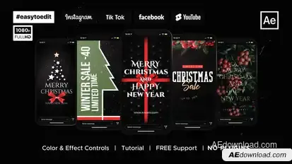 Christmas Instagram Stories & Posts Video Displays template preview