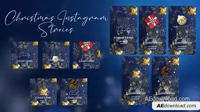 Christmas instagram stories and post Premiere Pro template preview