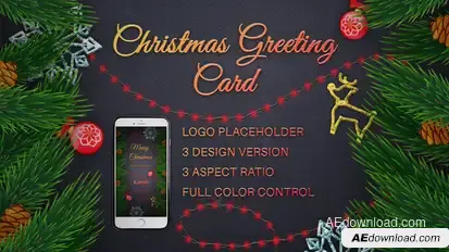 Christmas Instagram Stories And Posts Video Displays template preview