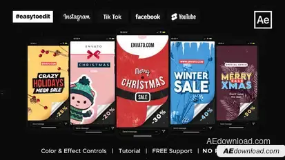 Christmas Instagram Stories / Sale Video Displays template preview