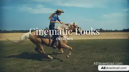 Cinematic Looks Overlay Toolkit for Premiere Pro Premiere Pro template preview