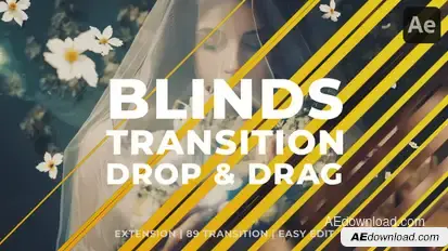 Clean Blinds Transition Elements template preview