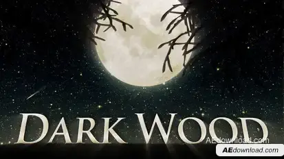 Dark Wood Video Displays template preview