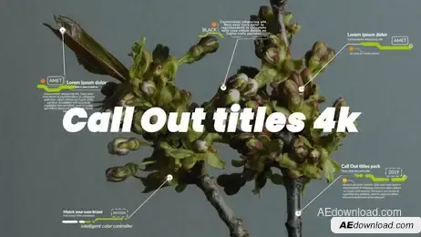 Call Out Titles 4k Freebies template preview