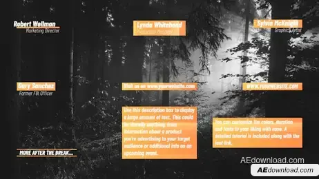 Clean Lower Thirds Freebies template preview