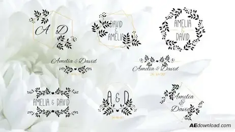 Elegant Flower Wedding Titles Freebies template preview