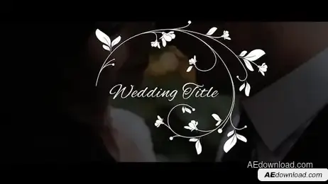 Elegant Wedding Titles Freebies template preview