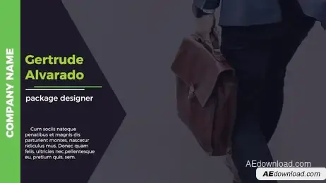 Full-Screen Titles 4k Freebies template preview