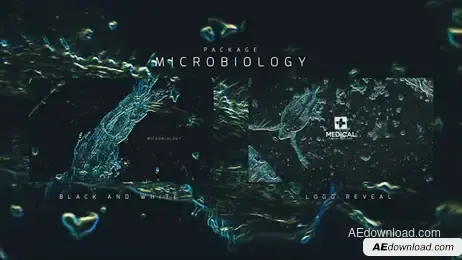 Microbiology Package Freebies template preview