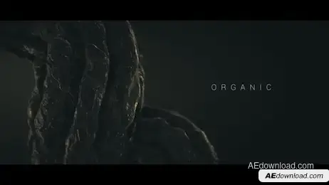 Organic Title Sequnce Freebies template preview