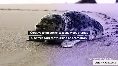 Stomp Typo Promo Freebies template preview