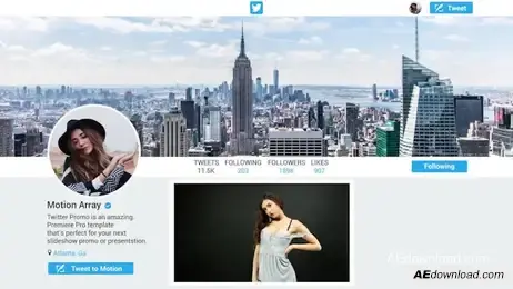 Twitter Promo Freebies template preview