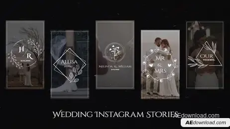 Wedding Instagram Stories V.2 Freebies template preview