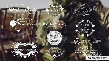 Wedding Titles Pack 4K Freebies template preview