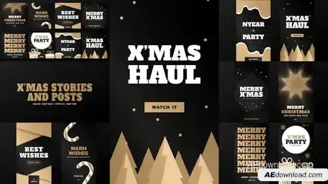 Xmas Stories And Posts Freebies template preview