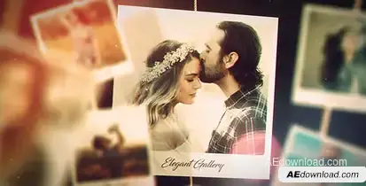 Elegant Gallery Video Displays template preview