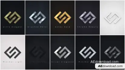 Elegant Logo Reveals Pack 2 Video Displays template preview