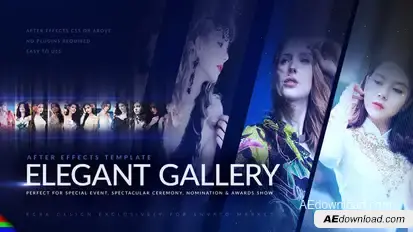Elegant Photo Gallery Video Displays template preview