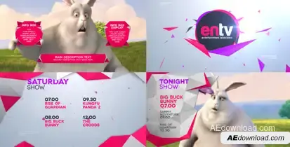 ENTV Broadcast Pack Video Displays template preview