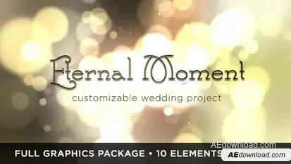 Eternal Moment Wedding Video Displays template preview