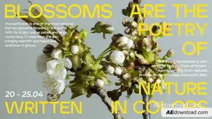 Floral Green Titles Premiere Pro template preview
