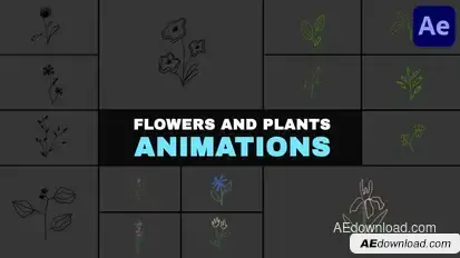 Flowers and Plants Animations | After Effects Elements template preview