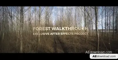 Forest Walkthrough Video Displays template preview