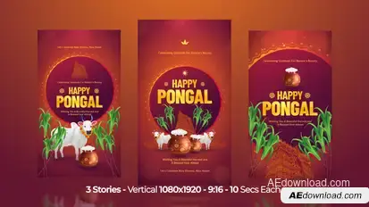 Happy Pongal Instagram Stories Openers template preview
