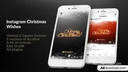 Instagram Christmas Wishes Video Displays template preview