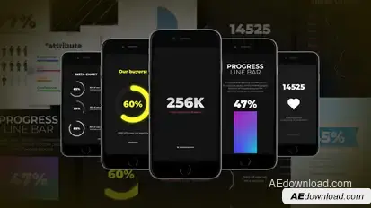 Instagram Infographics Video Displays template preview