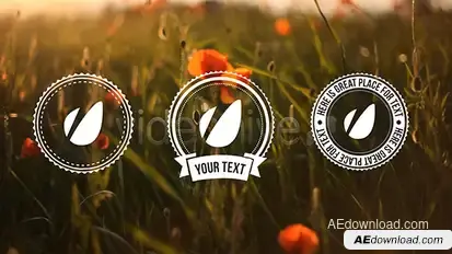 Light Vintage // Lower Thirds Pack Video Displays template preview