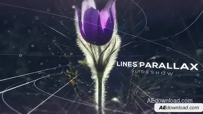 Lines Parallax Slideshow Video Displays template preview