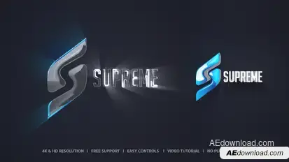 Logo Sting Premiere Pro template preview
