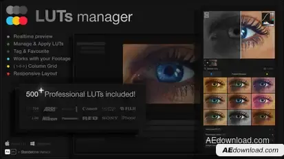 LUTs Manager: Preview LUTs In Real-time Tool & 500 Professional LUTs Premiere Pro template preview