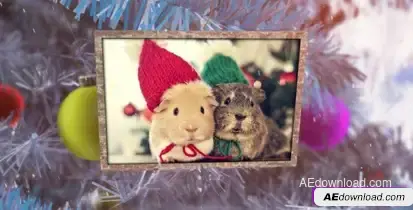 New Year Photo Album – Videohive Video Displays template preview