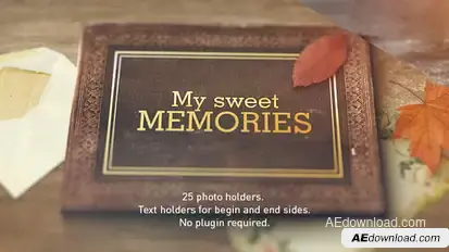 Old Memories Album Gallery Video Displays template preview