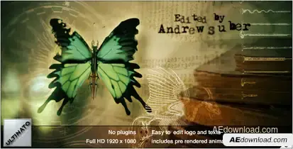 Paranormal Video Displays template preview