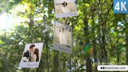 Photo Memories on Trees Video Displays template preview