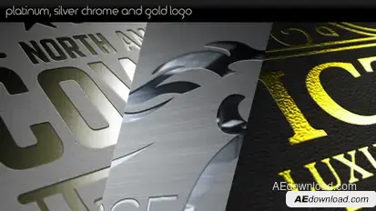 Platinum Silver Chrome and Gold Logo Video Displays template preview