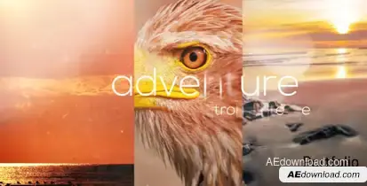 Portfolio Video Displays template preview