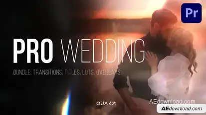 Pro Wedding Bundle – Transitions, Titles, LUTs, Overlays Premiere Pro template preview