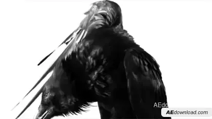 Raven Logo 2 Video Displays template preview