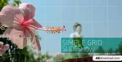 Simple Grid Slideshow – Videohive Video Displays template preview