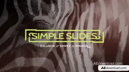 Simple Slides Project Video Displays template preview