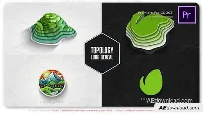 Topology Logotype Animation Premiere Pro template preview