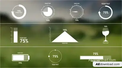 10 Percentage Infographics Infographics template preview