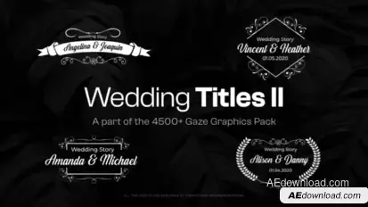 15 Wedding Titles II Titles template preview